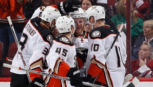 Die Anaheim Ducks sind momentan das Team der Stunde in der NHL