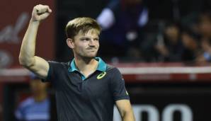 David Goffin